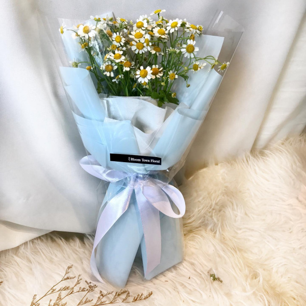 chamomile_1775301969