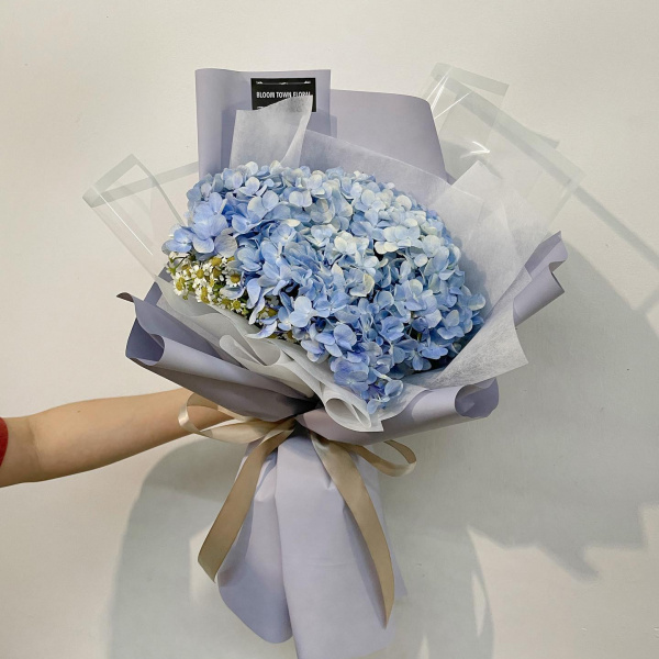 hydrangea_1491211516