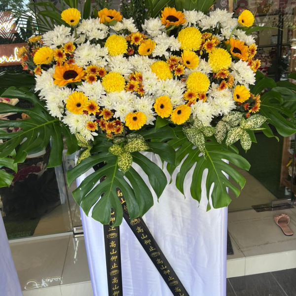 whatsapp_image_2023-03-16_at_4_44_27_pm